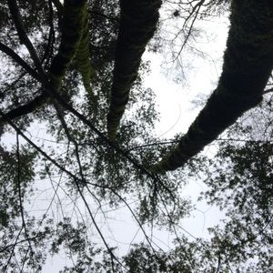 Meet your Posher, Hely